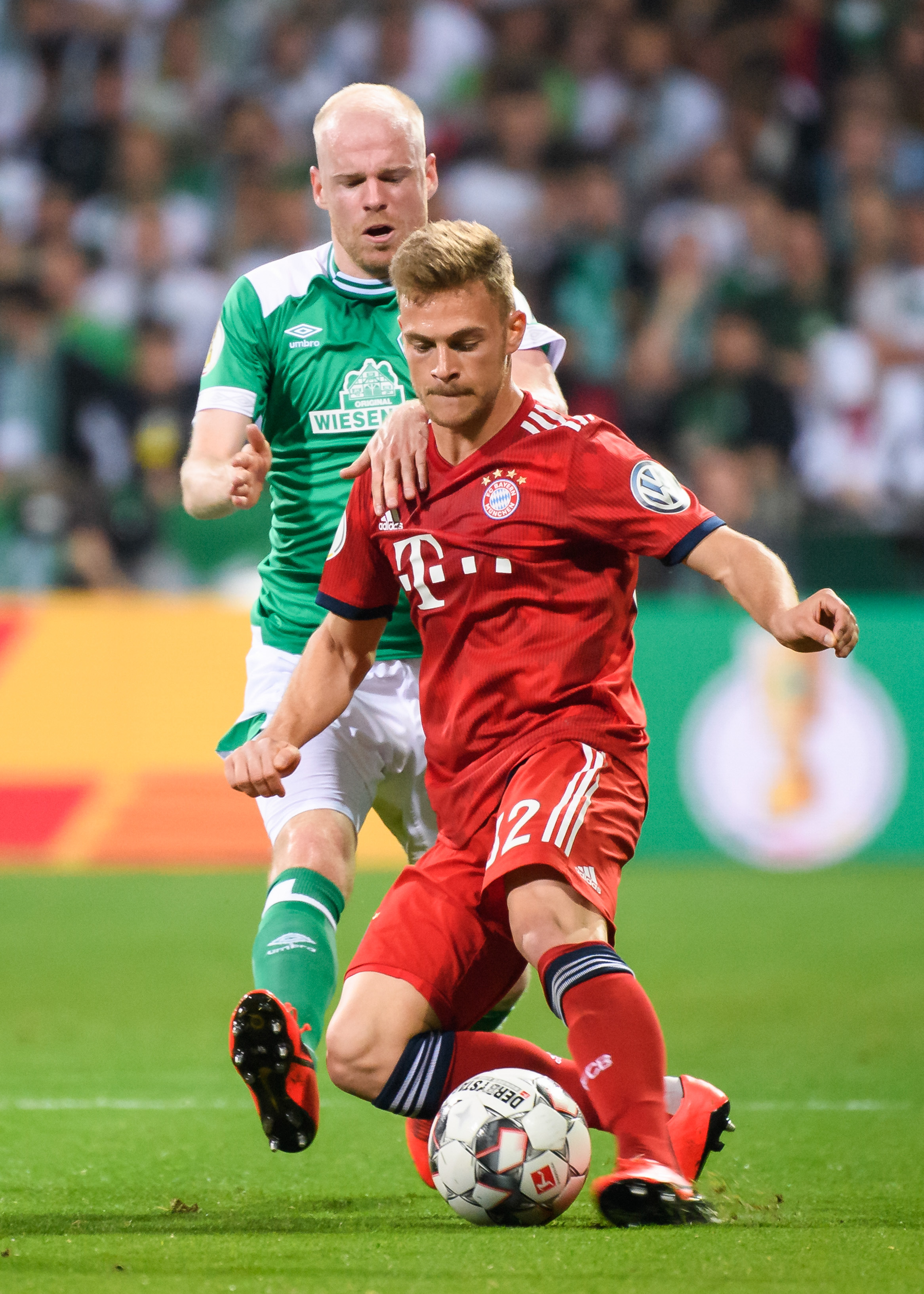 的个人秀 的个人秀