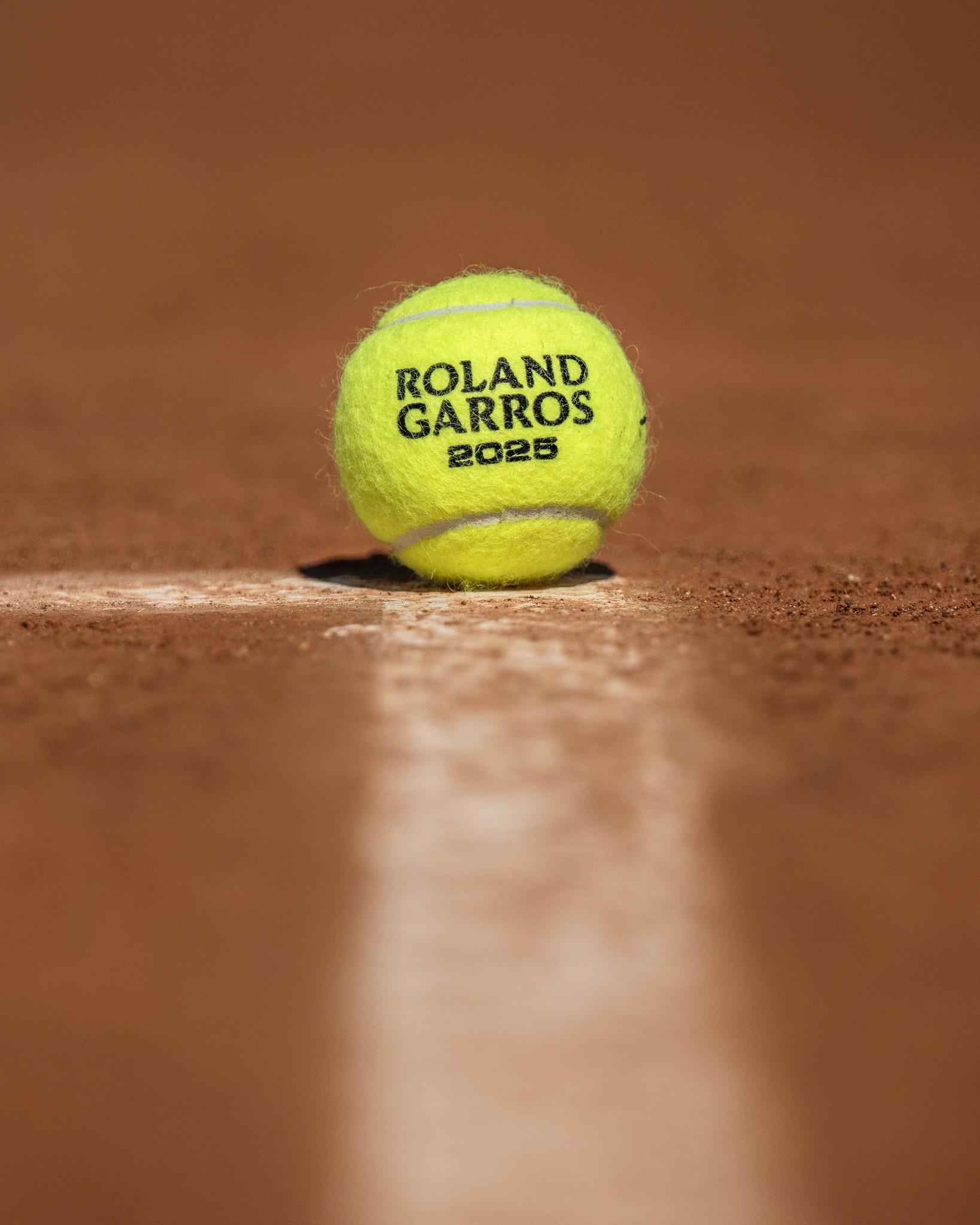 引擎中排名 引擎中排名